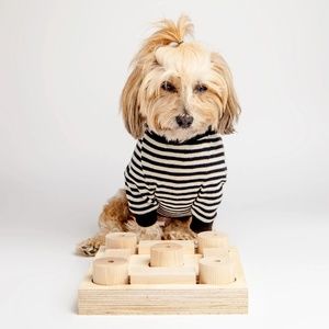 DOG & CO. Cheeky's Challenge Dog Treat Puzzle Game